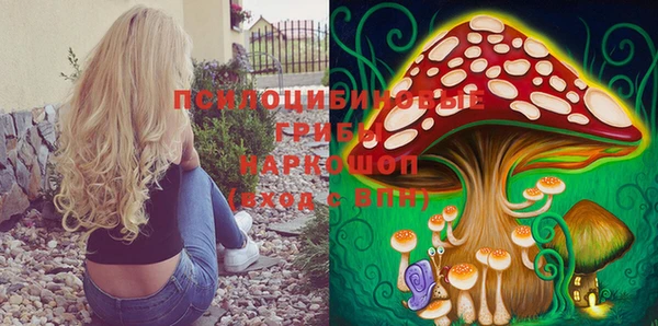 бошки Зеленокумск