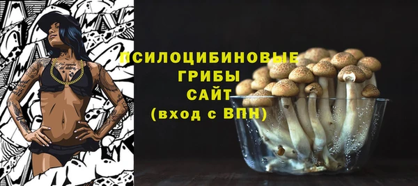 бошки Зеленокумск