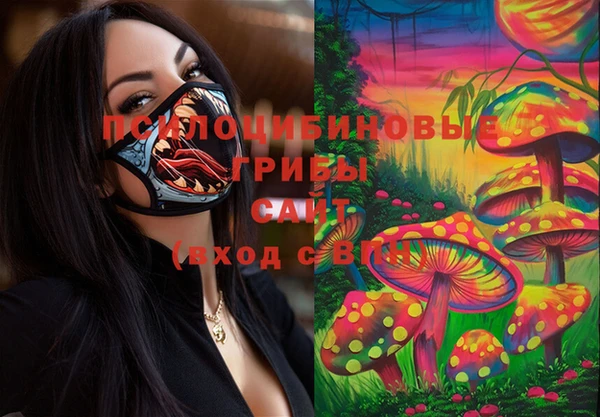 бошки Зеленокумск
