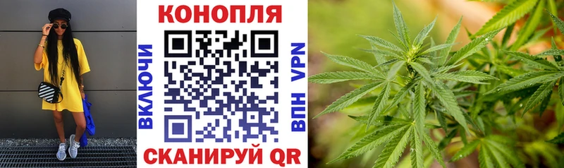 Конопля ГИДРОПОН  Купить где  Салаир 
